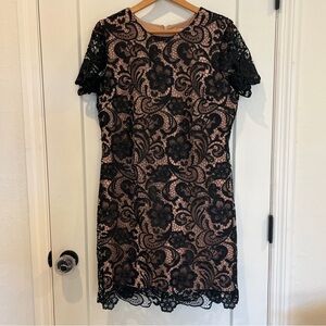 Dress the Population Anna Lace Sheath Dress